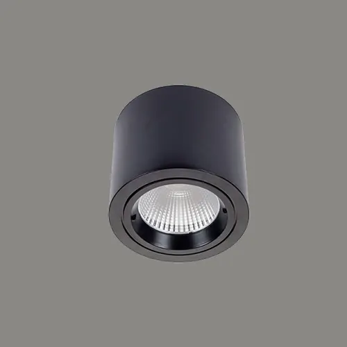 D411/25W