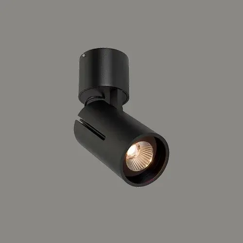 LC8/DIM