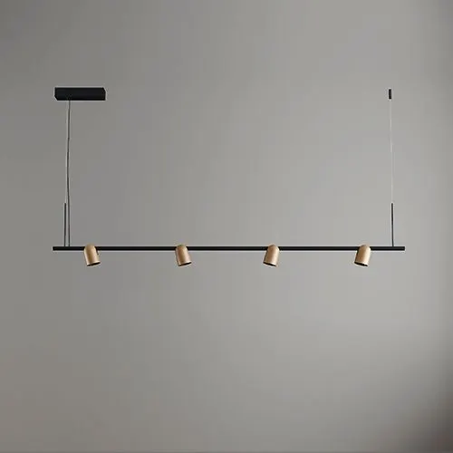 LC217 — pendant/ceiling light (چراغ آویز, 22W)